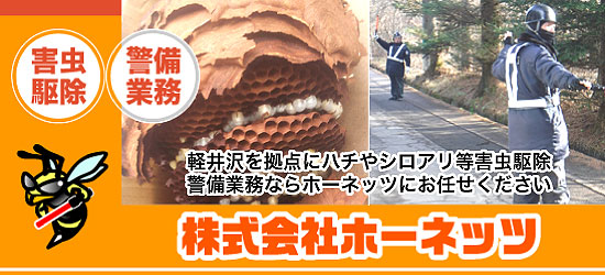 軽井沢蜂駆除・警備の事ならホーネッツ